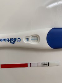 899AE736-BC80-42F7-8906-55A74CD304AD.jpeg 899AE736-BC80-42F7-8906-55A74CD304AD.jpeg