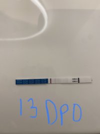 8CDA517C-6076-4888-8D83-D2E622D0B129.jpeg 8CDA517C-6076-4888-8D83-D2E622D0B129.jpeg