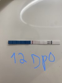 795000DE-B9CB-4C5A-90BE-65B2AA3352F9.jpeg 795000DE-B9CB-4C5A-90BE-65B2AA3352F9.jpeg