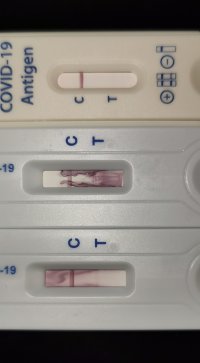 IMG_20221217_034031_edit_456745087475096.jpg IMG_20221217_034031_edit_456745087475096.jpg