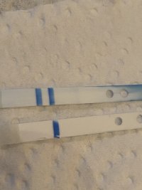 19B17CBA-9BC8-420D-A312-554525779A01.jpeg 19B17CBA-9BC8-420D-A312-554525779A01.jpeg