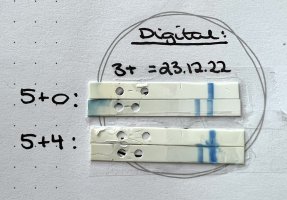 EFBDB6A4-5B7B-48AC-AB25-14C7D80194BE.jpeg EFBDB6A4-5B7B-48AC-AB25-14C7D80194BE.jpeg