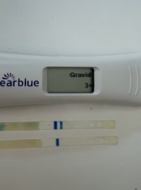 F25D2B46-F796-420D-9B84-971DE7F1A905.jpeg F25D2B46-F796-420D-9B84-971DE7F1A905.jpeg