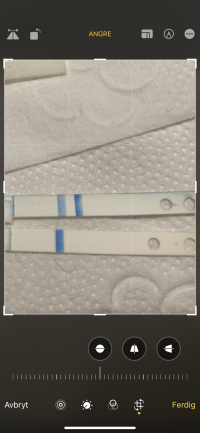 EC6E1547-7B03-4D47-A981-C8247652CF6A.png EC6E1547-7B03-4D47-A981-C8247652CF6A.png