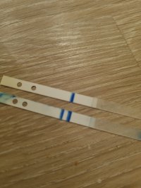 20230102_172824.jpg 20230102_172824.jpg