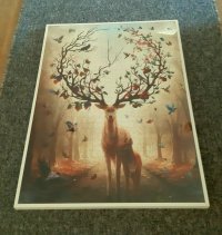 20230320_172754.jpg 20230320_172754.jpg