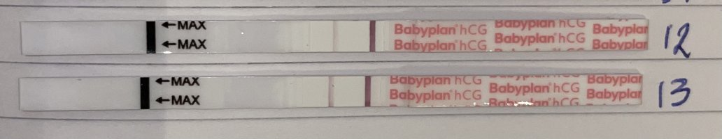 1680539863817.jpeg 1680539863817.jpeg