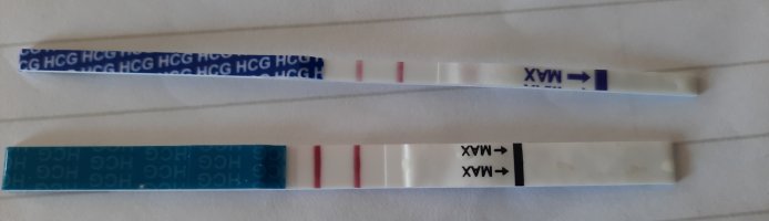 20230404_133434.jpg 20230404_133434.jpg