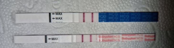 20230405_061438.jpg 20230405_061438.jpg