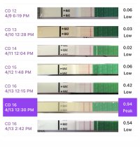 46113DE9-3456-4947-A2A1-19BF3C5C8213.jpeg 46113DE9-3456-4947-A2A1-19BF3C5C8213.jpeg