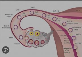 Screenshot_20230601_084145_Samsung Internet.jpg