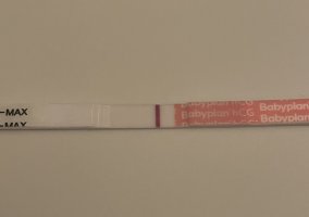 674DB544-D461-453D-9A8A-495A857028C3.jpeg 674DB544-D461-453D-9A8A-495A857028C3.jpeg