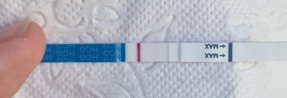 Snapchat-1811854959.jpg Snapchat-1811854959.jpg