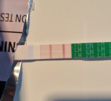 Screenshot_20230621_113925_Gallery.jpg Screenshot_20230621_113925_Gallery.jpg