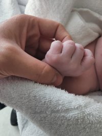 IMG20230710165731.jpg IMG20230710165731.jpg