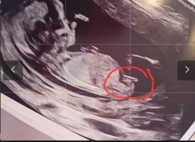 Screenshot_20230724_222346_Samsung Internet.jpg