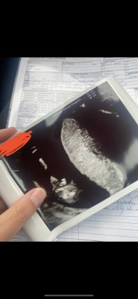 61DDF882-6680-4EEB-810E-4C4D0F2D2618.jpeg 61DDF882-6680-4EEB-810E-4C4D0F2D2618.jpeg