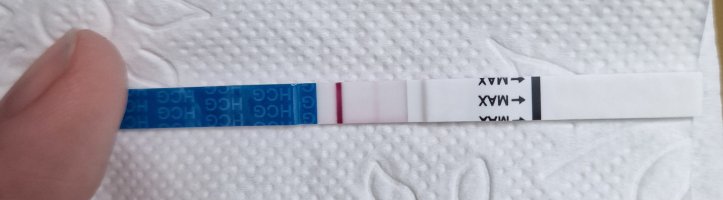 20230820_100159.jpg 20230820_100159.jpg