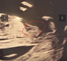 Screenshot_20230831_011310_Samsung Internet.jpg