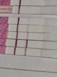 20230911_113301.jpg 20230911_113301.jpg