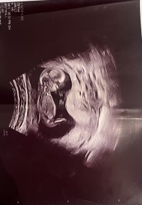 IMG_0466.jpeg IMG_0466.jpeg