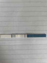 A91DC10D-B11F-42DB-BC84-1408F3A23D93.jpeg A91DC10D-B11F-42DB-BC84-1408F3A23D93.jpeg