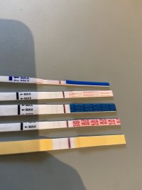 IMG_0704.jpeg IMG_0704.jpeg