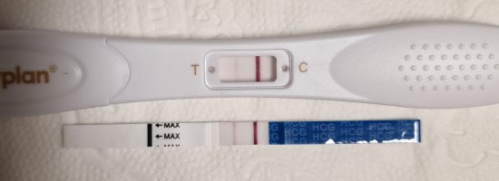 20230923_154407.jpg 20230923_154407.jpg