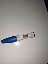 PXL_20230924_050018096.jpg PXL_20230924_050018096.jpg