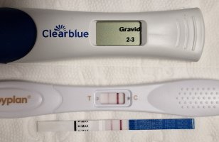 20230924_154119.jpg 20230924_154119.jpg