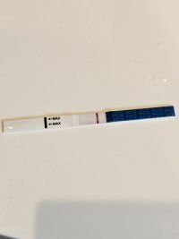 20231004_114418.jpg 20231004_114418.jpg