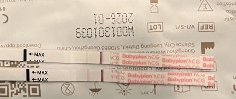 IMG_5212.jpeg IMG_5212.jpeg