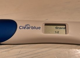 20231203_083309.jpg 20231203_083309.jpg