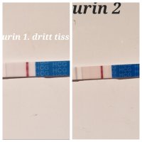 20231213104548.jpg 20231213104548.jpg