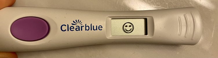 IMG_1977.jpeg IMG_1977.jpeg