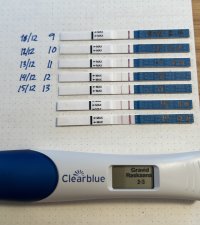 IMG_2753.jpeg IMG_2753.jpeg