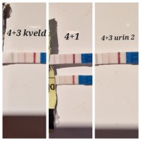 20231216175804.jpg 20231216175804.jpg