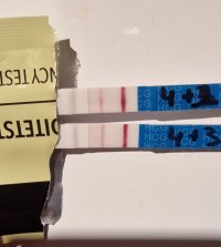 Screenshot_20231216_204439_Gallery.jpg Screenshot_20231216_204439_Gallery.jpg