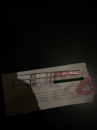 73CDE123-C871-4F5A-89A1-880DEB14F427.jpeg 73CDE123-C871-4F5A-89A1-880DEB14F427.jpeg