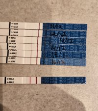 20231217_074547.jpg 20231217_074547.jpg