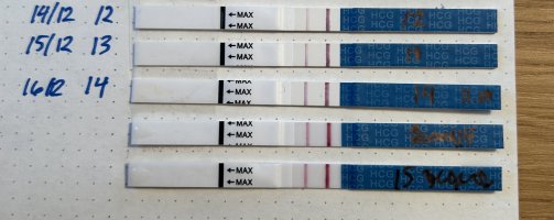 IMG_2762.jpeg IMG_2762.jpeg