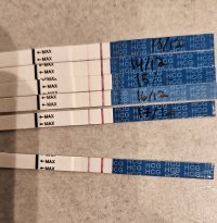 1000039156.jpg 1000039156.jpg