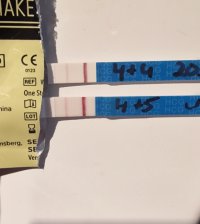 Screenshot_20231218_094808_Gallery.jpg Screenshot_20231218_094808_Gallery.jpg