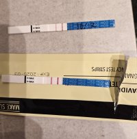 1000039161.jpg 1000039161.jpg