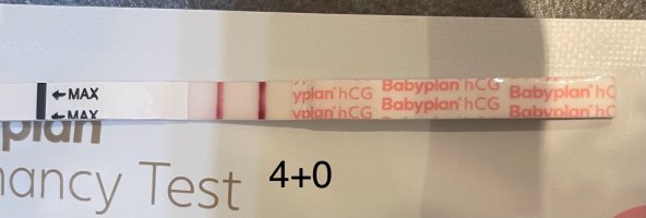 IMG_0621.jpeg IMG_0621.jpeg