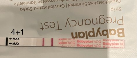 IMG_0629.jpeg IMG_0629.jpeg