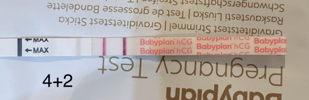 IMG_0635.jpeg IMG_0635.jpeg