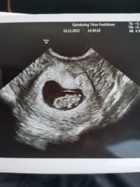 IMG_20231219_144402.jpg IMG_20231219_144402.jpg