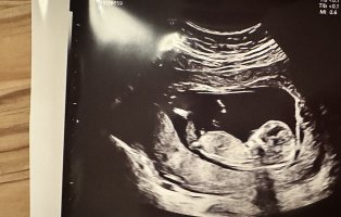 IMG_6126.jpeg IMG_6126.jpeg