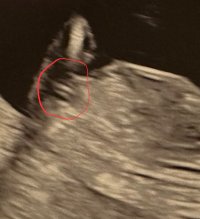 Screenshot_20231220_004231_Samsung Internet.jpg